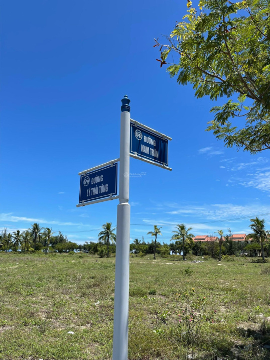 3982600 ảnh đại diện 1