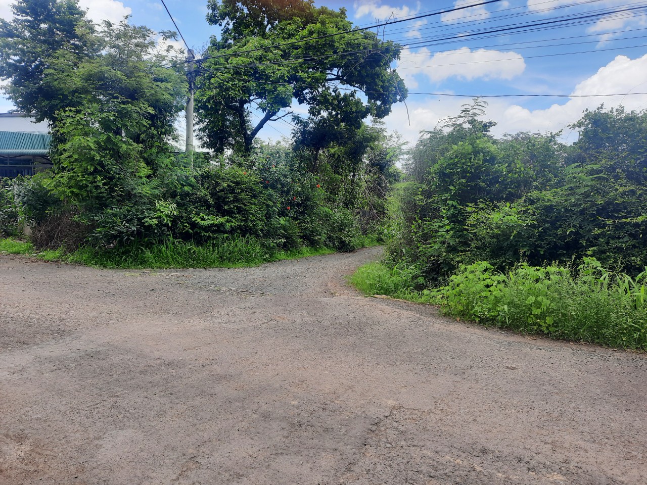 3984545 ảnh đại diện 2