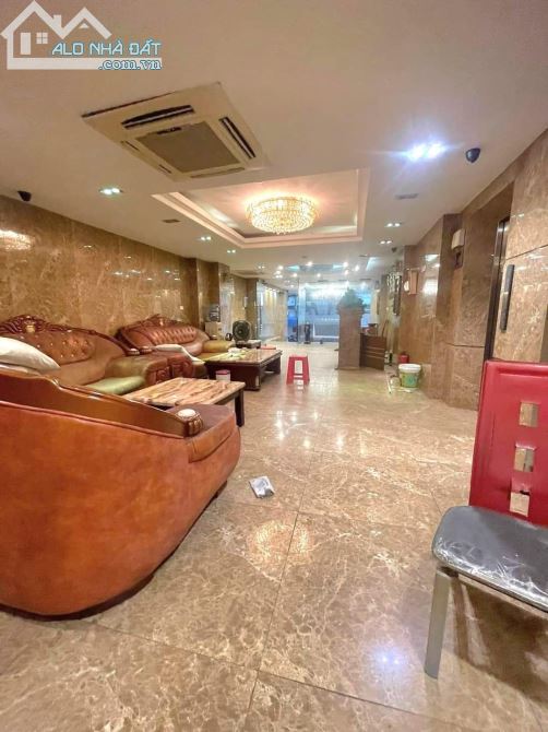 3985500 ảnh đại diện 1