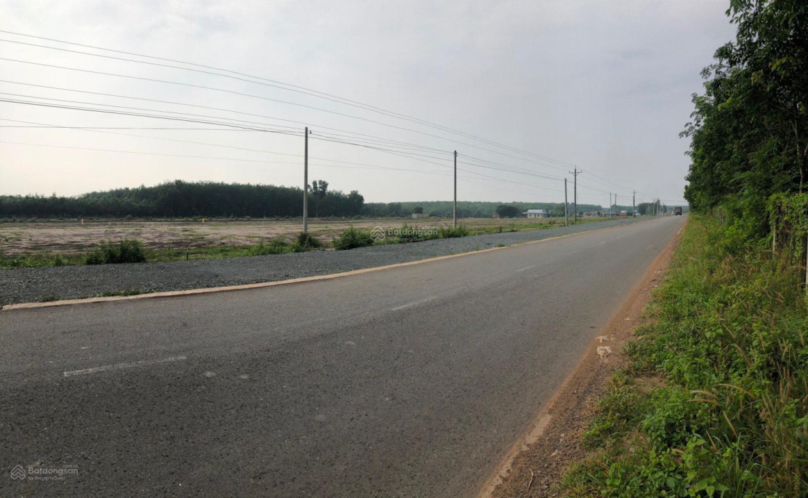 3984809 ảnh đại diện 1