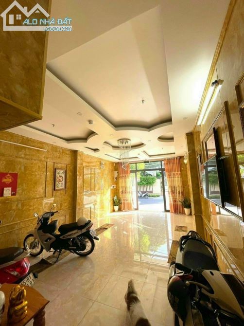 3985879 ảnh đại diện 2