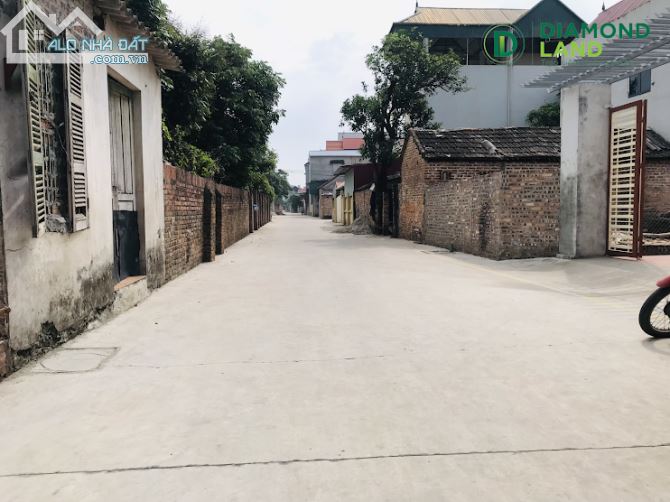 3984746 ảnh đại diện 2