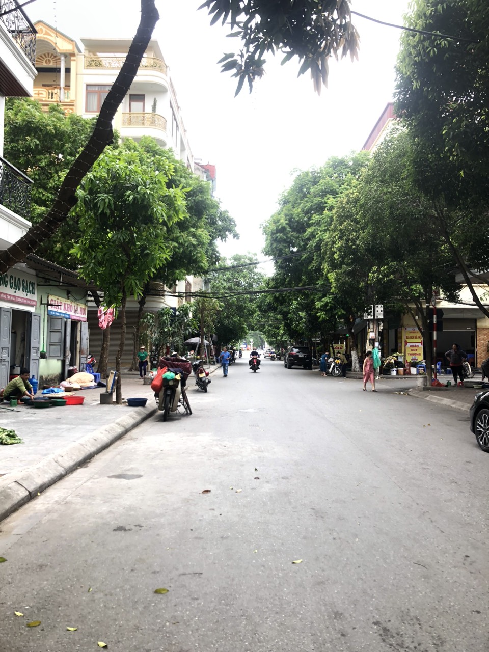 3983384 ảnh đại diện 1