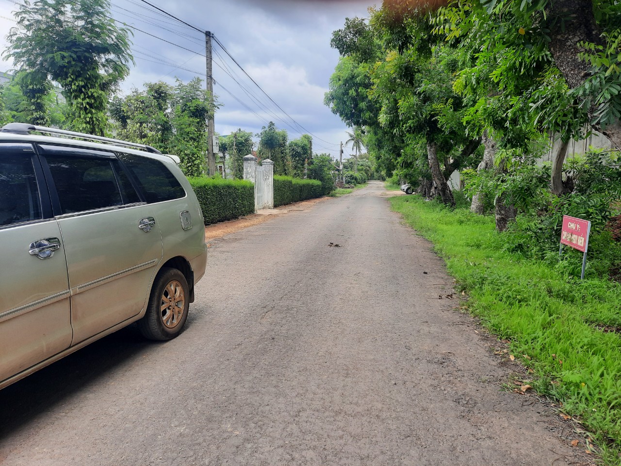 3984545 ảnh đại diện 1