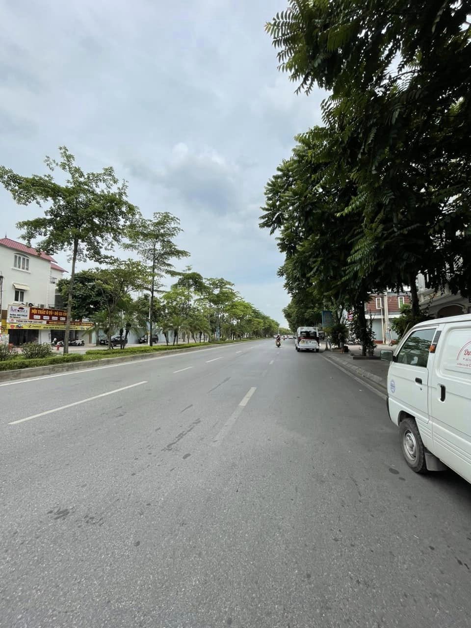 3985649 ảnh đại diện 1