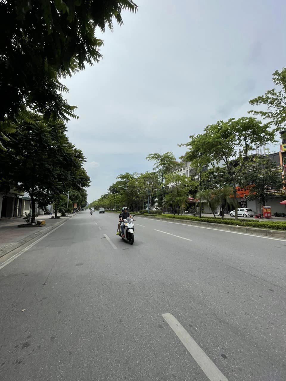 3985650 ảnh đại diện 1