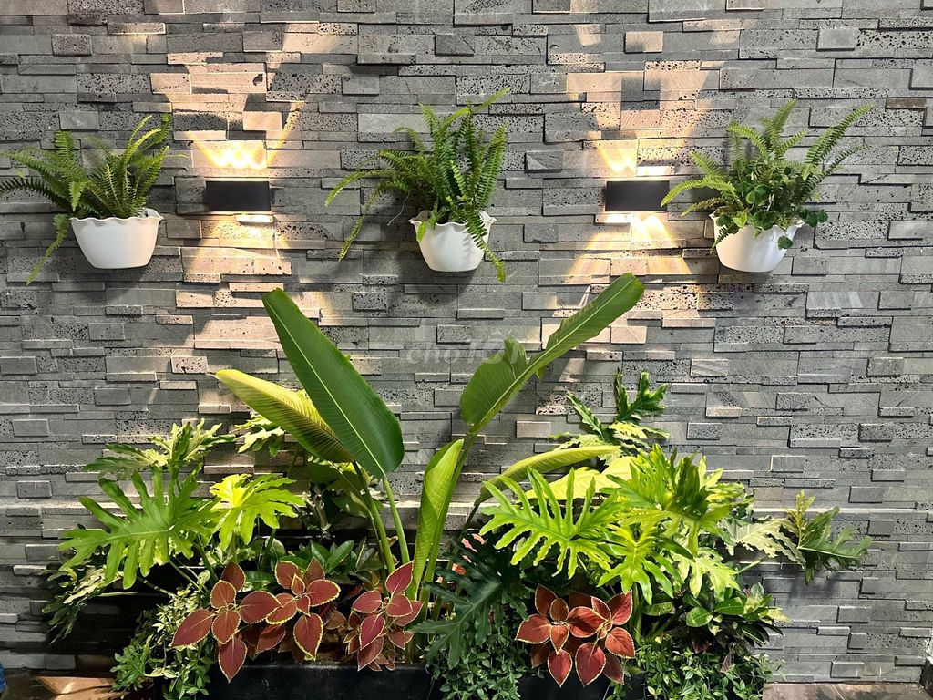 3983957 ảnh đại diện 2