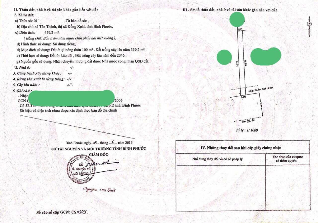3984436 ảnh đại diện 1