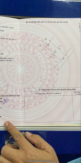 3985288 ảnh đại diện 2