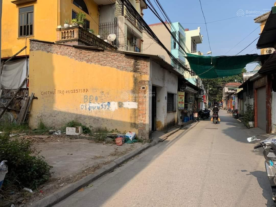 3987528 ảnh đại diện 1