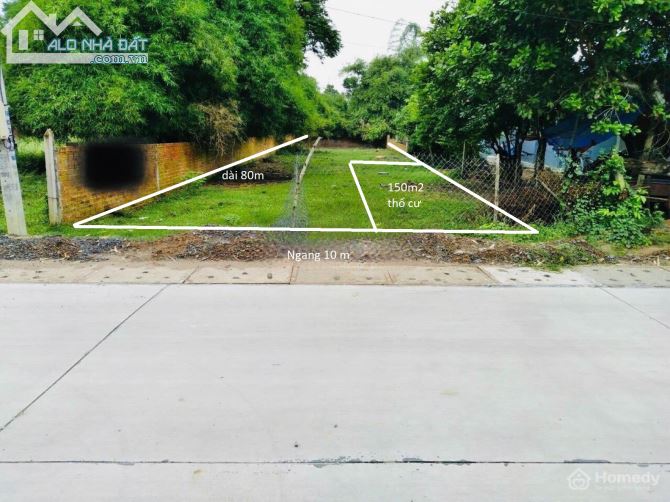 3988933 ảnh đại diện 1
