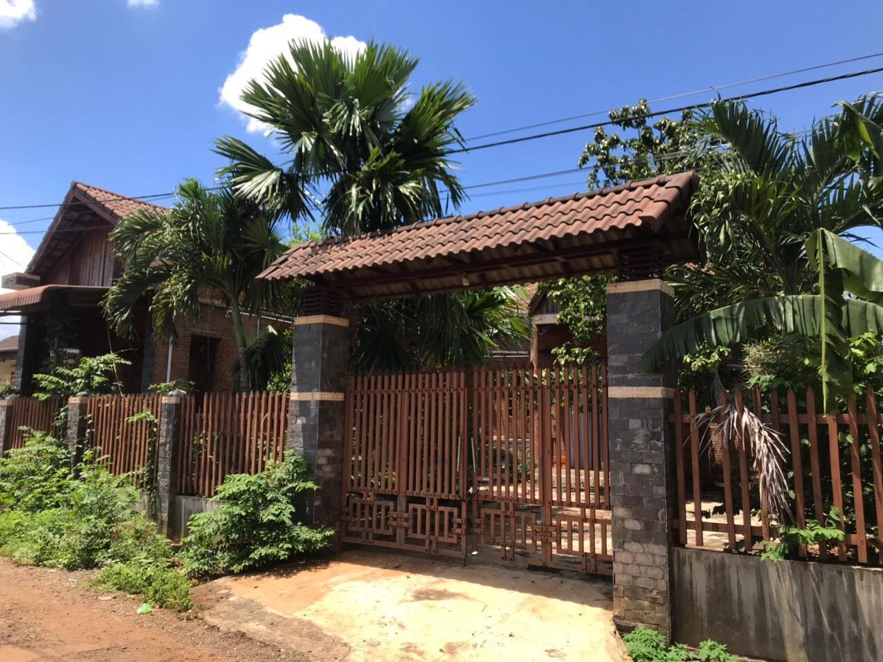 3988058 ảnh đại diện 1