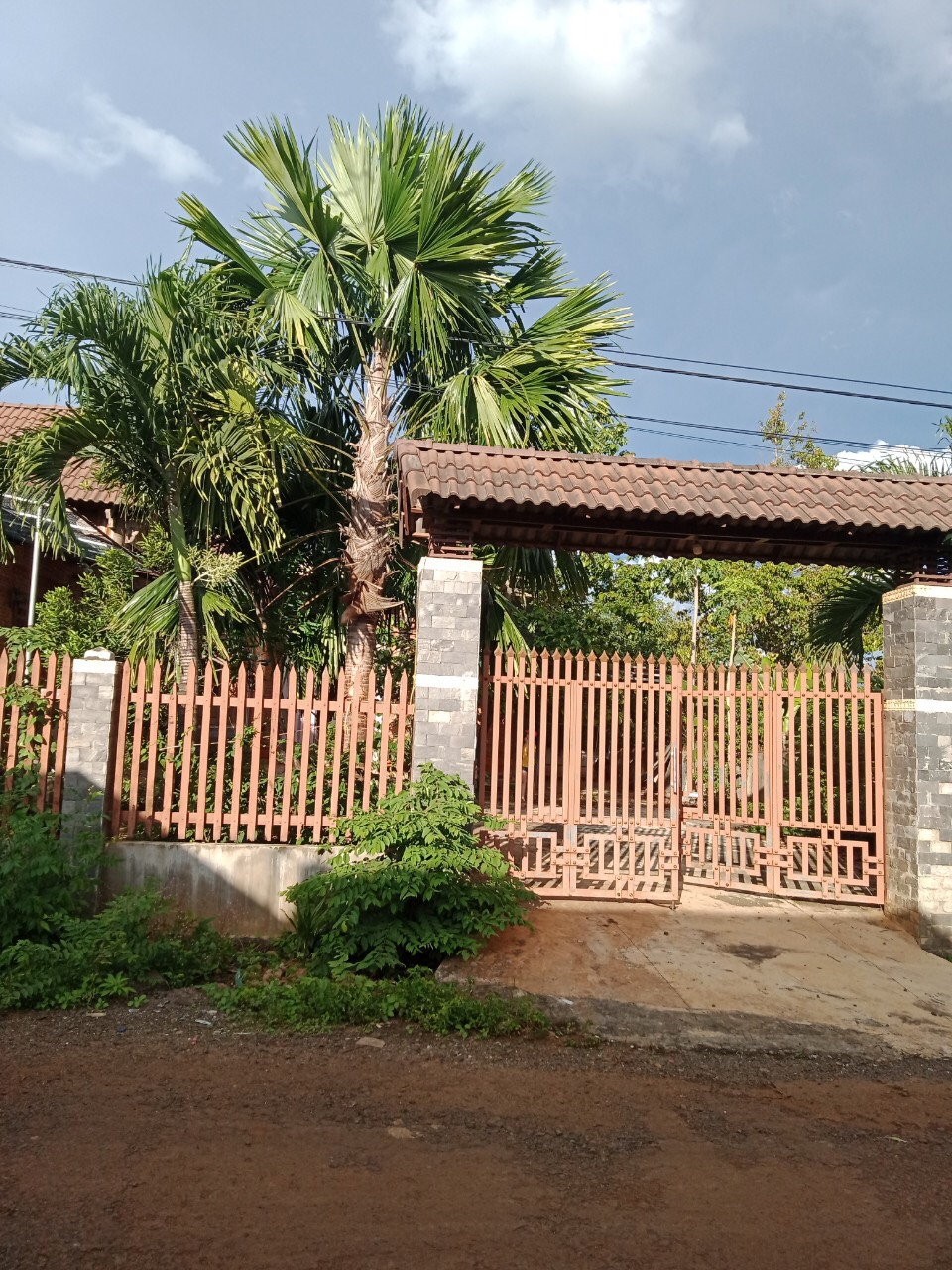 3987585 ảnh đại diện 1