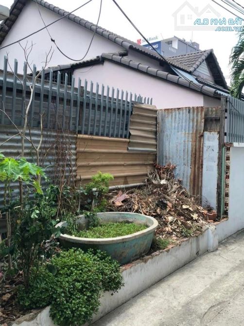 3986482 ảnh đại diện 1