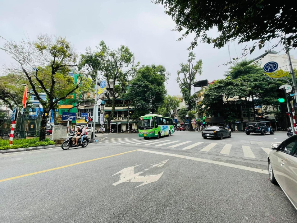 3988468 ảnh đại diện 1