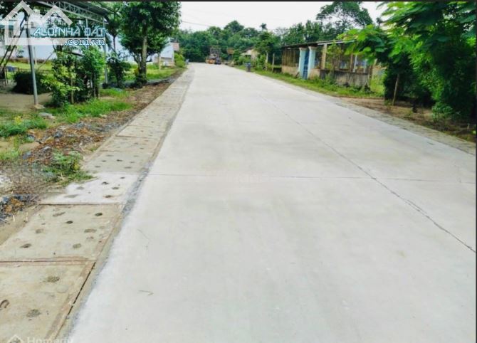 3988933 ảnh đại diện 1