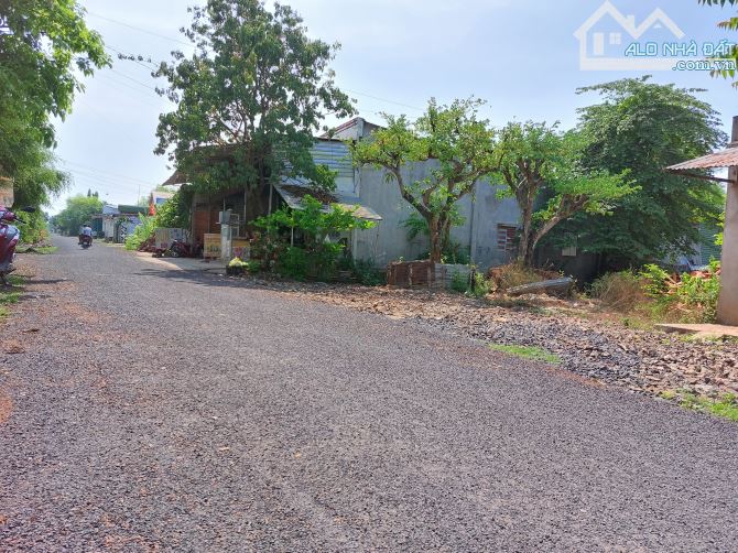 3988461 ảnh đại diện 2