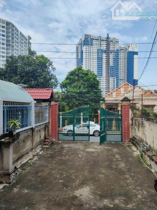 3989297 ảnh đại diện 1