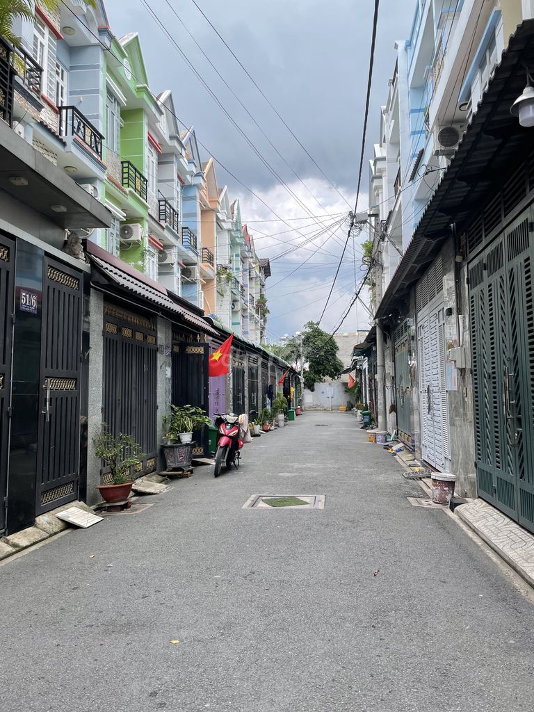 3986787 ảnh đại diện 2