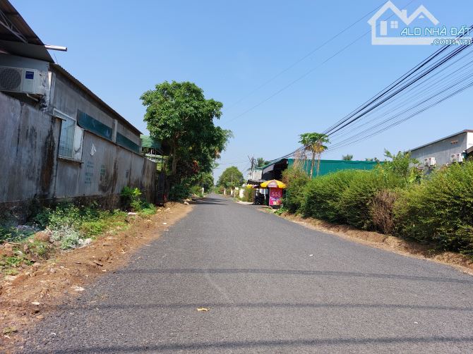 3988461 ảnh đại diện 1