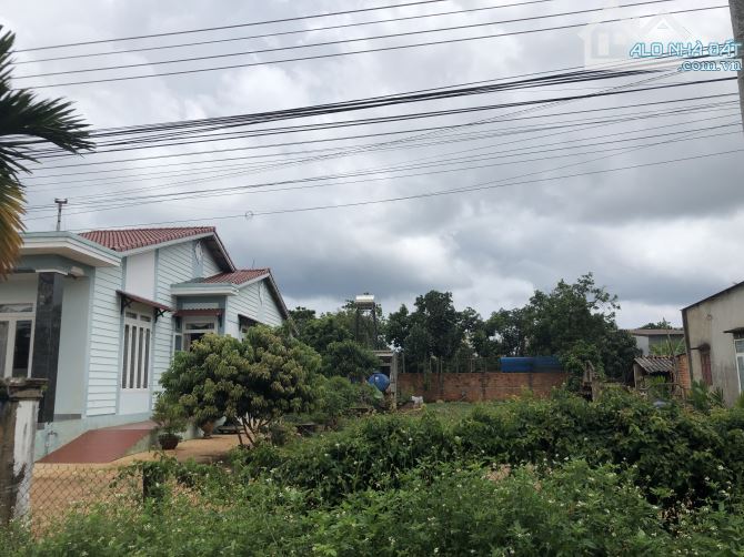 3988658 ảnh đại diện 2
