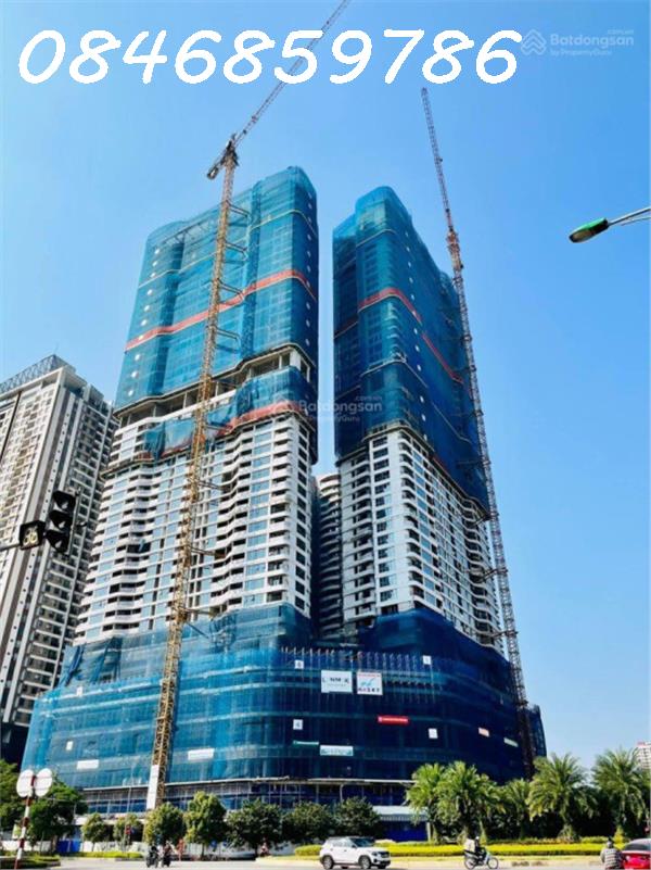 3988203 ảnh đại diện 1