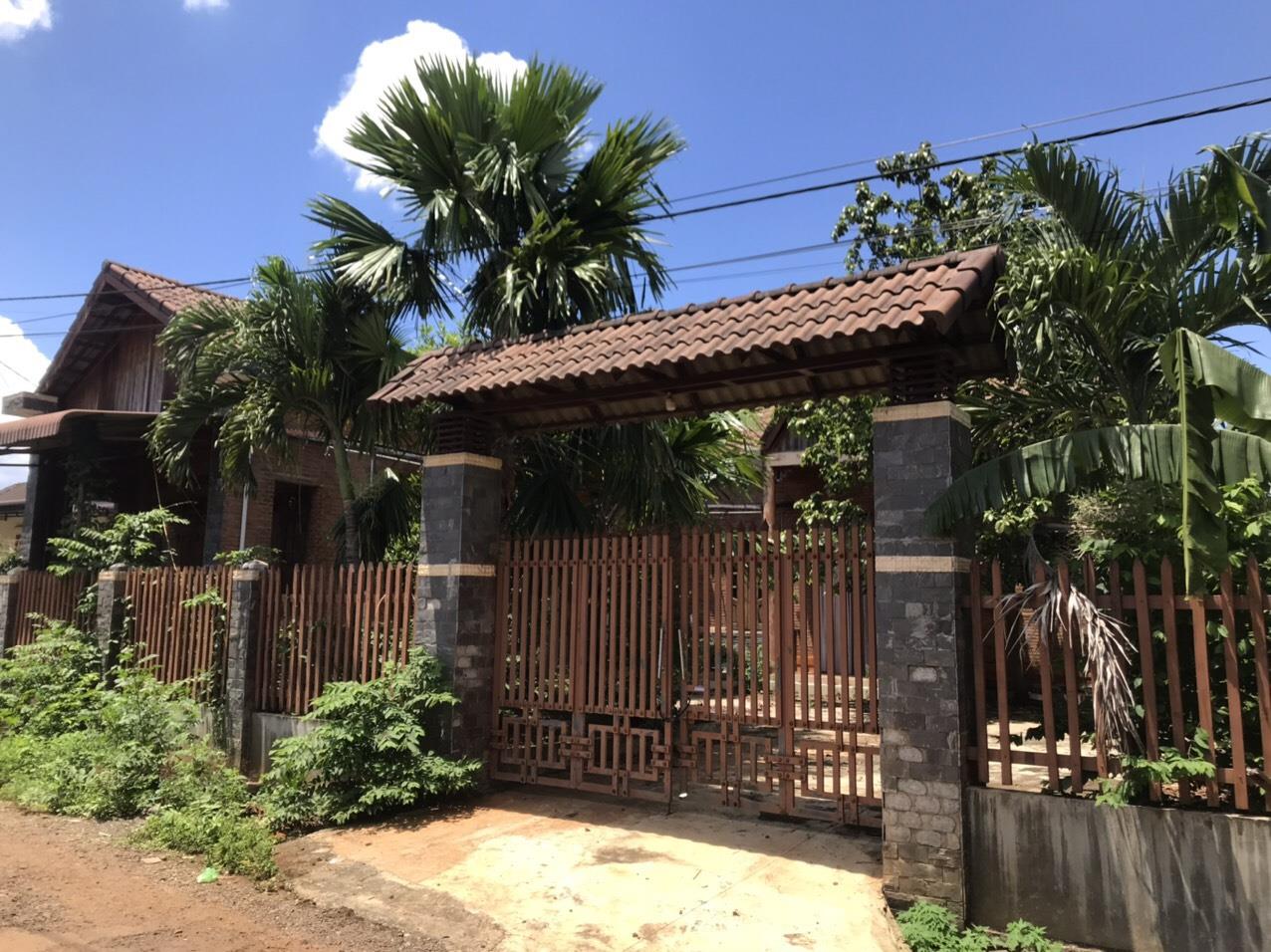 3987498 ảnh đại diện 2