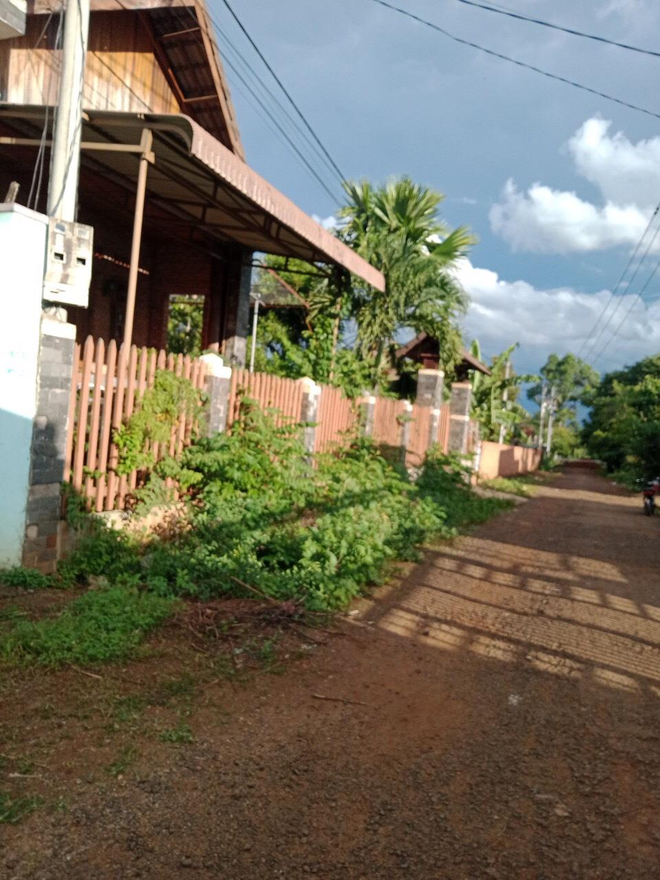 3987498 ảnh đại diện 1