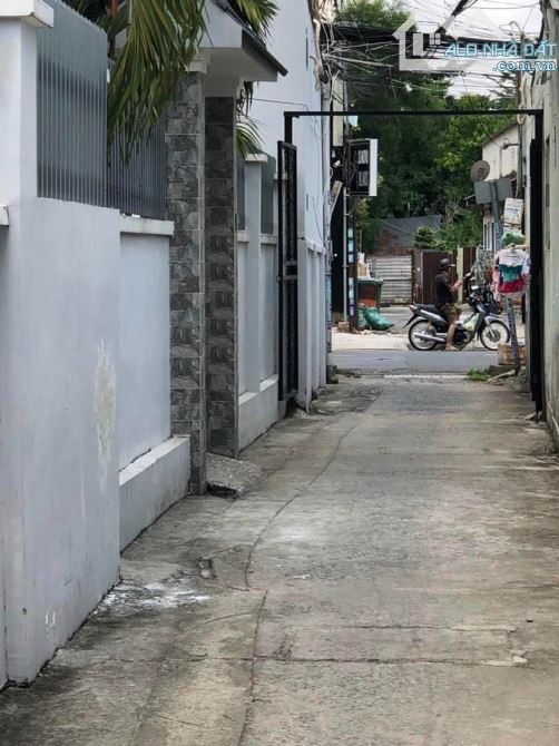 3986482 ảnh đại diện 1