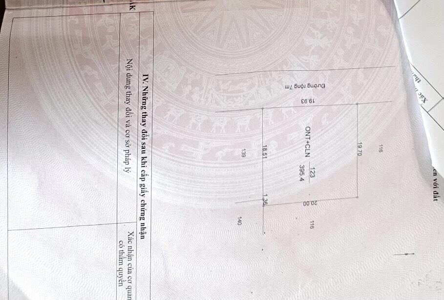 3987498 ảnh đại diện 1