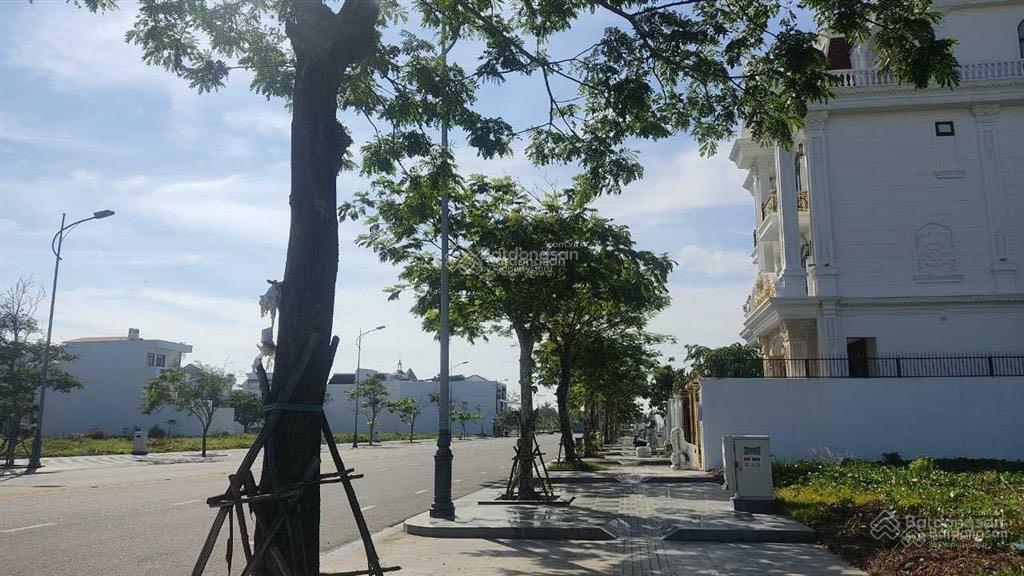 3989557 ảnh đại diện 1