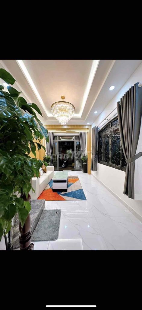 3988173 ảnh đại diện 1