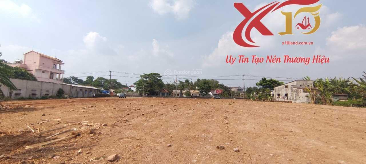3989985 ảnh đại diện 1