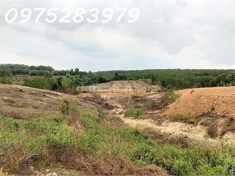 3991140 ảnh đại diện 2
