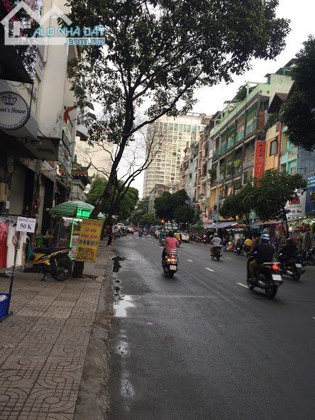 3989849 ảnh đại diện 1