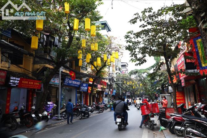 3990331 ảnh đại diện 2