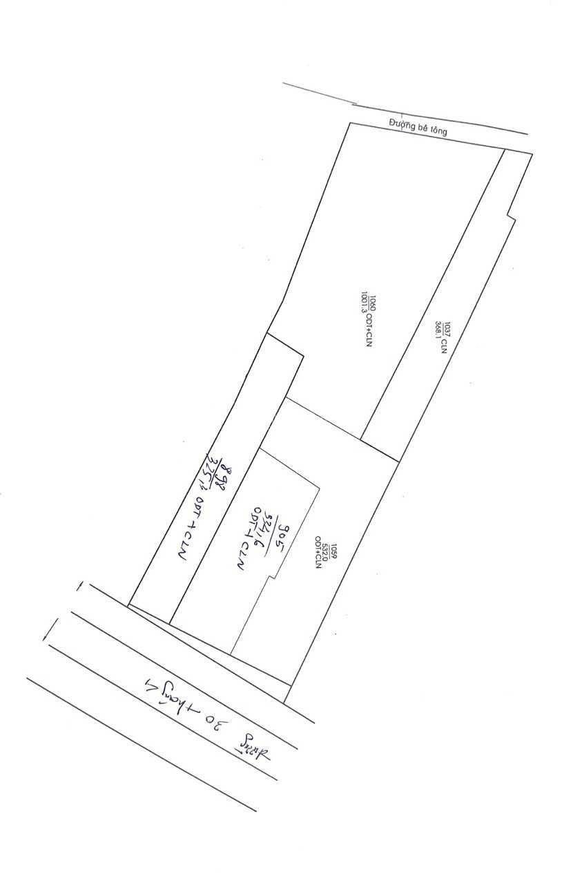 3991330 ảnh đại diện 2