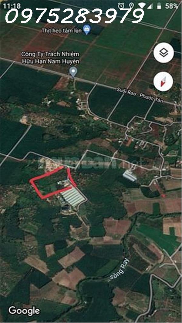 3991138 ảnh đại diện 1