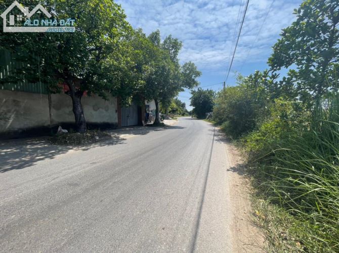 3992609 ảnh đại diện 2