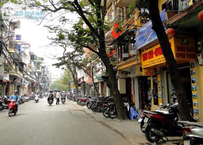 3990331 ảnh đại diện 1