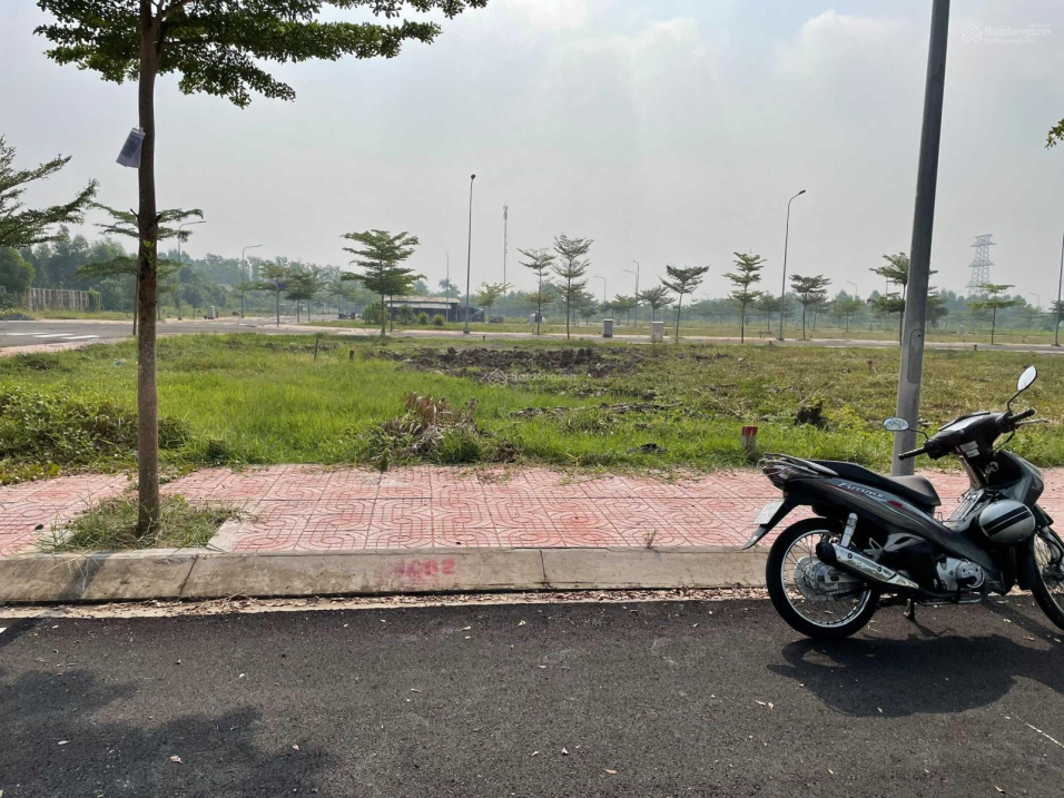 3991639 ảnh đại diện 1