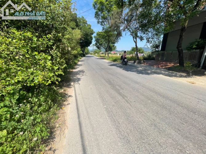3992609 ảnh đại diện 1