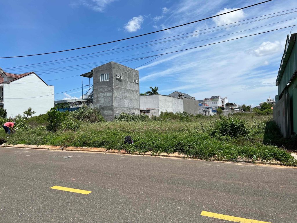 3993136 ảnh đại diện 1