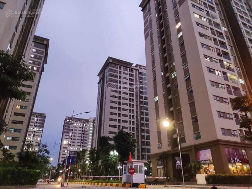 3993825 ảnh đại diện 2