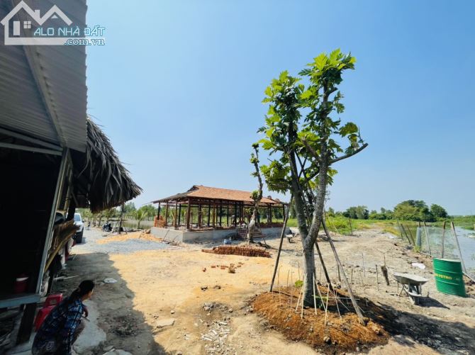 3994856 ảnh đại diện 1