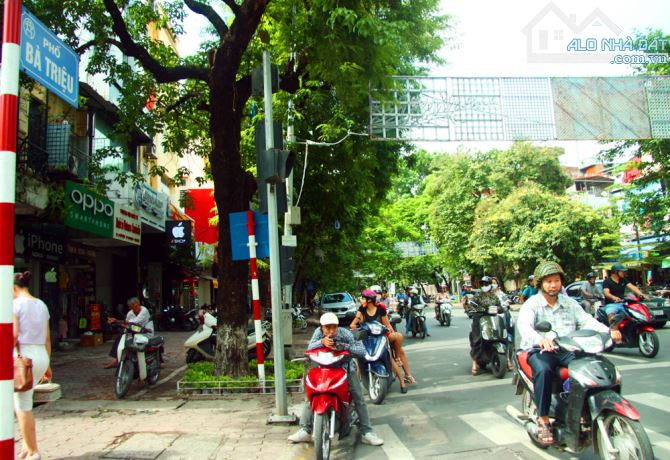 3993097 ảnh đại diện 2