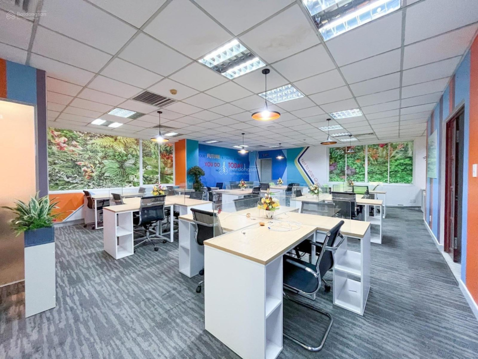 3992879 ảnh đại diện 1
