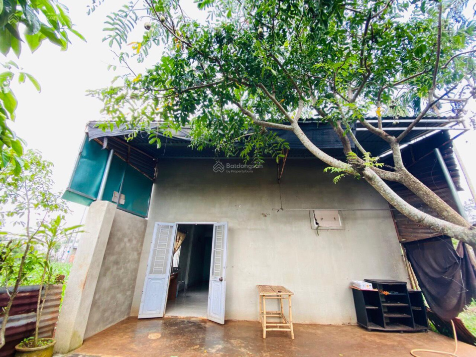 3993554 ảnh đại diện 1