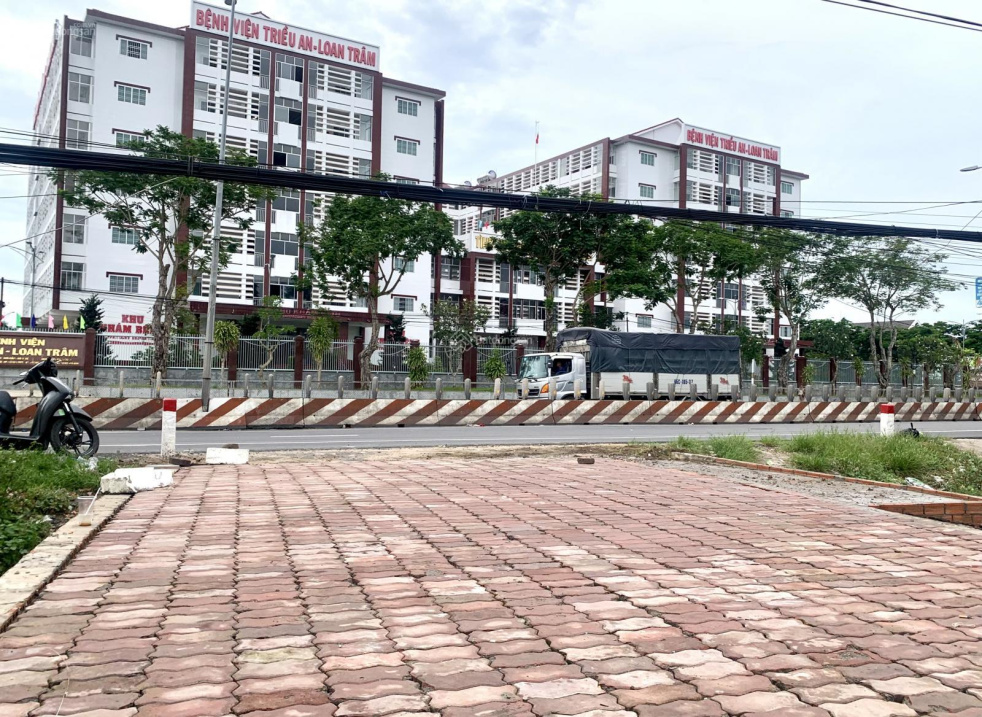 3994572 ảnh đại diện 1