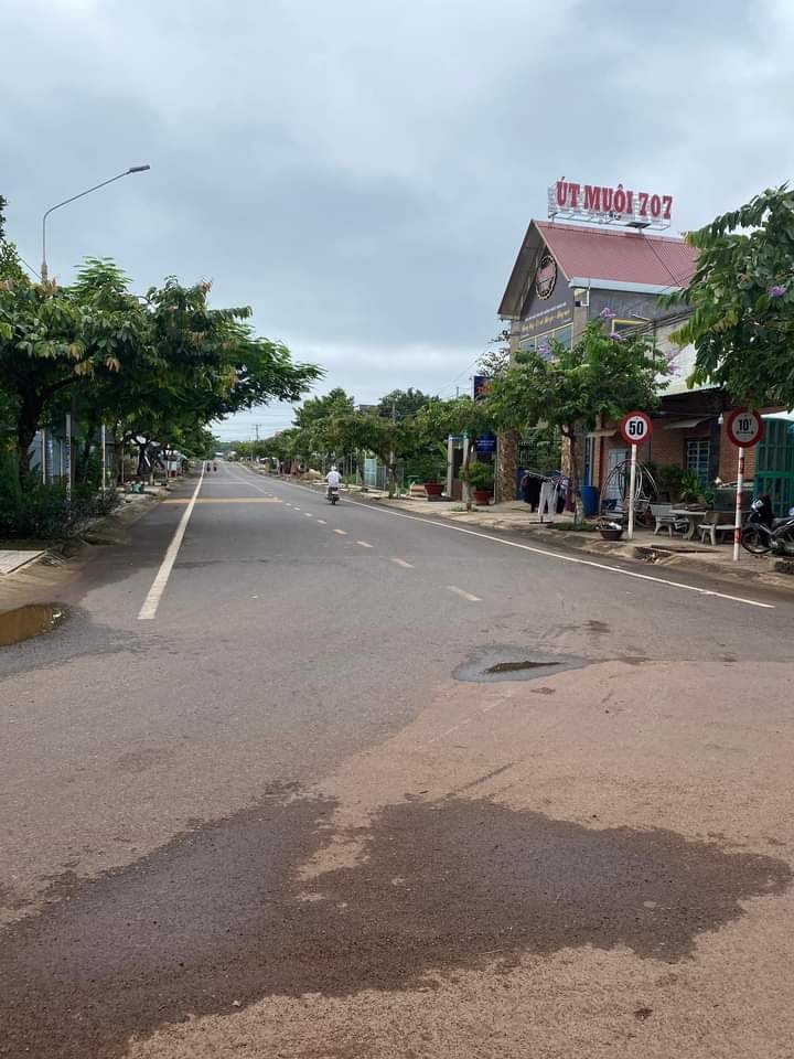 3994576 ảnh đại diện 1